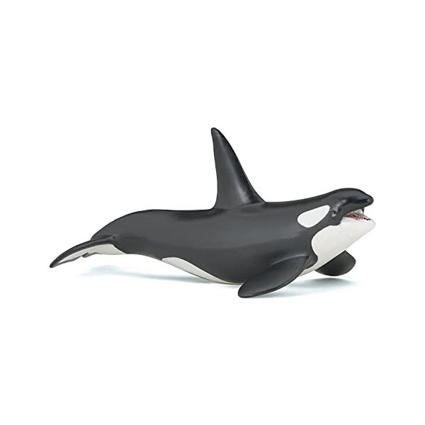 Papo - Figurines A Collectionner - Tortue De Mer Caouanne - Animaux Marins - Pour Filles Et Garçons - A Partir De 3 Ans