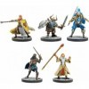 Gale Force Nine GF971133 Dungeons & Dragons: The Wild Beyond The Witchlight - Valors Call 5 pièces 