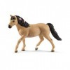 Schleich 13863 Poney Connemara, femelle, dès 5 ans, Horse Club - figurine, 12,5 x 3 x 8,4 cm