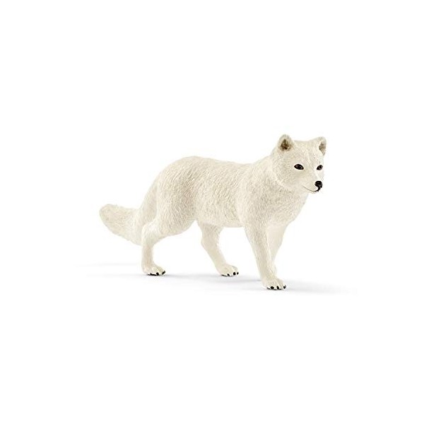 Schleich 14805 Renard polaire, dès 3 ans, Wild Life - figurine, 8 x 2 x 3,7 cm