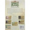 Horizons of Spirit Island : Lot de 5 panneaux gris pour remplacer les cartes existantes, plus grand que les jeux