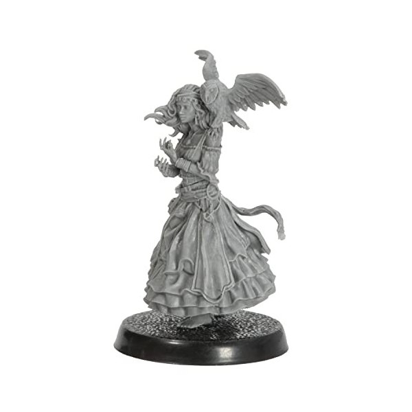 Dungeon Craft Miniatures non peintes : The Fortune Teller