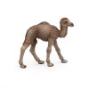 Papo - 50188 - Figurine - Animaux - Kangourou avec Bébé