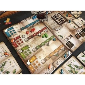 Genotype - Version Française