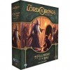 Fantasy Flight Games Lord of The Rings The Card Game Fellowship of The Ring Saga Expansion