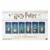 Cardinal Games 6046766 Harry Potter Jeu Potion Multicolore - version anglaise