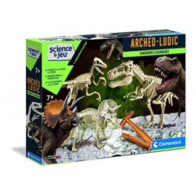 PLAYMOBIL Dinos 70632 T-Rex Attaque à partir de 4 Ans