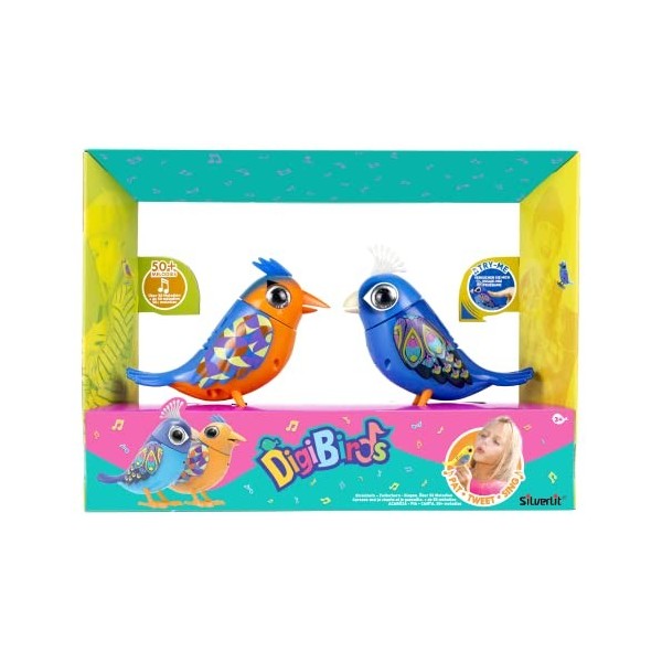 Rocco Giocattoli Digibirds Oiseaux canterins interactifs Multicolore