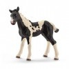 Schleich - 13803 - Figurine - Poulain Pinto