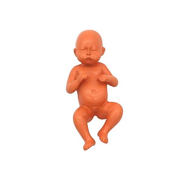 VOANZO Poupée bébé en résine, poupée bébé réaliste reborn, poupée bébé nouveau-né, poupée bébé nouveau-né, véritables poupées