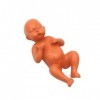 VOANZO Poupée bébé en résine, poupée bébé réaliste reborn, poupée bébé nouveau-né, poupée bébé nouveau-né, véritables poupées