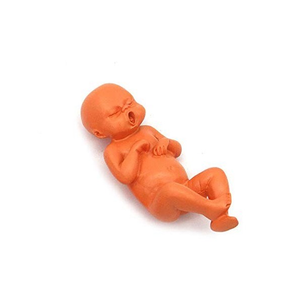 VOANZO Poupée bébé en résine, poupée reborn réaliste, poupée bébé nouveau-né, poupée bébé réaliste – Fille