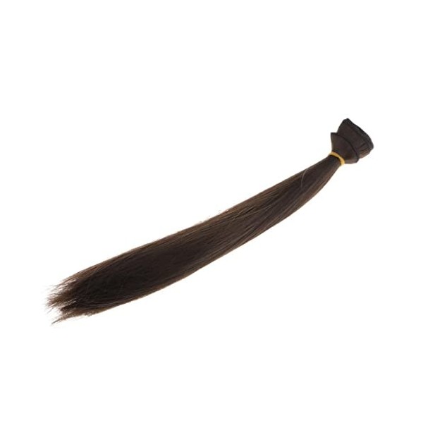 Amagogo Tête de Postiche de Perruque Longue Droite élégante de 25cmx100cm pour La Coupe de Cheveux de Poupées de Fille, Marro