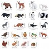 PLULON 21 Pcs Animaux Safari Figurines Jouets Figurines dAnimaux la Forêt Figurines réalistes zoo sauvage créatures des bois