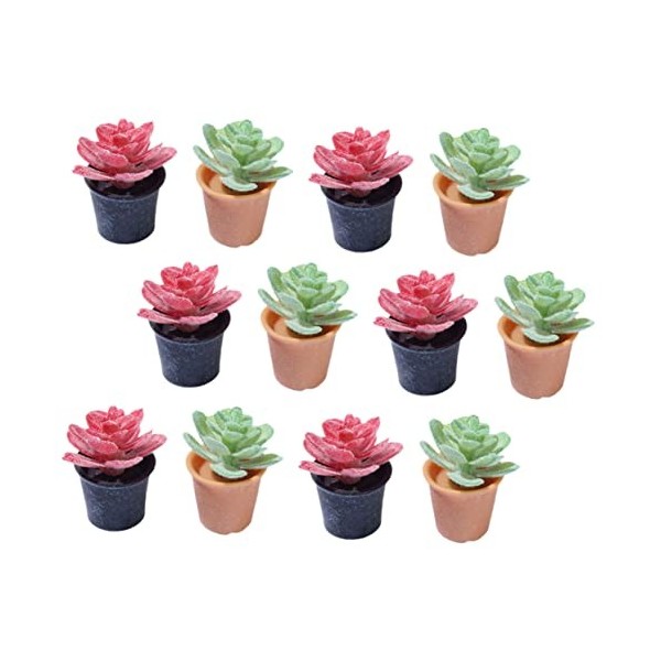 Toyvian 12 Pièces Plante en Pot De Maison De Poupée Ornement De Scène De Bonsaï Petite Succulente en Pot Mini Succulente en P