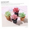 Toyvian 12 Pièces Plante en Pot De Maison De Poupée Ornement De Scène De Bonsaï Petite Succulente en Pot Mini Succulente en P