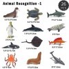 Steemjoey 26PCS Figures Animaux Marins Jouets, Océan Animaux Marins Jouets, Realistic Under The Sea Life Figurine Bain Jouets