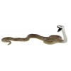 Bully - B68487 - Figurine Animal - Le Serpent Des Savanes