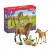 Schleich 42432 Les soins pour bébé animaux dHorse Club Sarah, dès 5 ans, Horse Club - coffret, 18,9 x 6 x 14,5 cm