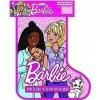 Barbie - Chaussette des Rêves 2023, Chaussette Befana dédiée aux Chiots, 1 stéthoscope, 4 Patchs, Jouet pour Enfants 3+ Ans, 