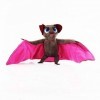 Poupée Fan Danime,Poupée Douce pour Enfants, Peluche Officeil, Poupée Chauves-souris Mignonne et Drôle Cadeau Danniversaire