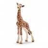 Schleich 14751 Bébé girafe, dès 3 ans, Wild Life - figurine, 6,8 x 3,5 x 11,8 cm