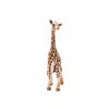 Schleich 14751 Bébé girafe, dès 3 ans, Wild Life - figurine, 6,8 x 3,5 x 11,8 cm