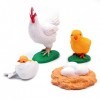 WANGCL Cycle de Vie des Poussins, Cycle de Vie des Animaux hautement simulé Modèle dapprentissage des Animaux en 4 Parties J