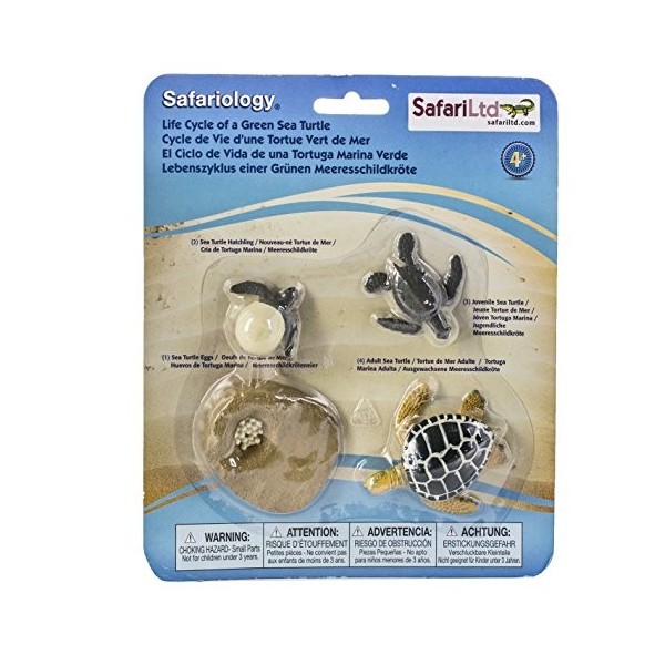 Safari Ltd-662316 Life Cycle of A Green Sea Turtle, 662316