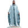 Lord of the Rings - Collection Nº 146 Elrond at Minas Tirith