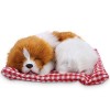 Poupée en peluche pour chien endormi, 17 x 12 cm, taille mini, jolis enfants, simulation danimaux en peluche, jouets pour ch