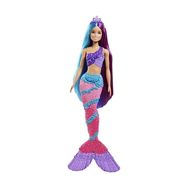 Barbie Poupée Royal Dreamtopia Avec Cheveux Bicolores Extra-Longs, Hauteur 29,2 Cm, Brosse, Accessoires Cheveuxs Et Coiffure 