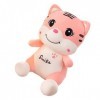 OATIPHO 1Pc Tigre Souriant Rose 2022 Cadeau du Nouvel an Poupée Animal en Peluche Jouet en Peluche De Noël Nouvel an Chinois 