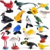 Zomiboo 18 Pièces Figurines danimaux Oiseaux Réalistes Set de Figurine dOiseau en Plastique, Jouet Décor de Maison Figurine