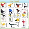 Zomiboo 18 Pièces Figurines danimaux Oiseaux Réalistes Set de Figurine dOiseau en Plastique, Jouet Décor de Maison Figurine