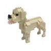 nanoblock NBC261 Dogs Labrador Retriever, Multi