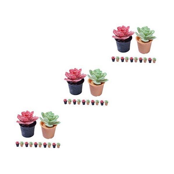 Toyvian 36 Pièces Plante en Pot De Maison De Poupée Mini Succulente en Pot Modèle De Plante De Bureau Petite Succulente en Po