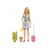 Coffret pour Barbie Blonde poupée Mannequin Chien + Valise + vêtement - Set poupée Mannequin Anniversaire + 1 Carte Tigre