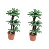 Toyvian 2 Pcs Ornement Plante Bricolage en Pot Cheval Modèle Parure Arbres Mini Bonsaï Bois Maison De Poupée Miniature pour P