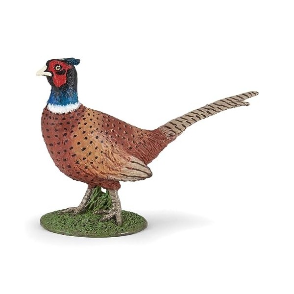 Papo- Faisan LA Vie Sauvage Figurine, 50263, Multicolore