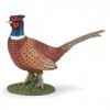 Papo- Faisan LA Vie Sauvage Figurine, 50263, Multicolore