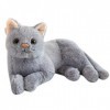 Cat Poupée en Peluche Peluches Chat Chaton Peluche Doux Oreiller Jouets pour Enfants Chat Jouet Chat Interactif en Peluche Ch