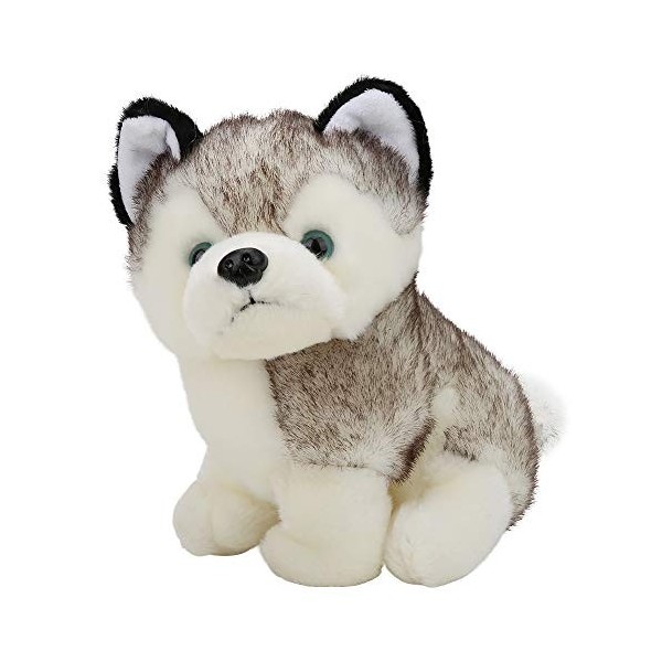 Vakitar Enfants Enfant Mignon Huskie Peluche poupée Chien Animal en Peluche Jouet, pour la Maison, décoration de Cadeau dann