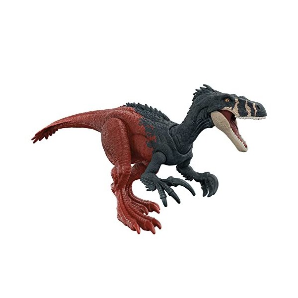 Jurassic World Figurine articulée de Megaraptor, rugissement, attaque vers l’avant, avec code ADN scannable, Jouet Enfant, Dè