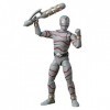 Power Rangers Lightning Collection, Figurine Putrid Wild Force de 15 cm Multicolore