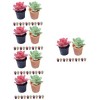 ibasenice 48 Pcs Maison De Poupée Plante en Pot Pot De Fleur Garniture De Rembourrage DIntérieur Accessoire De Maison De Pou
