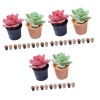 ibasenice 48 Pcs Maison De Poupée Plante en Pot Pot De Fleur Garniture De Rembourrage DIntérieur Accessoire De Maison De Pou