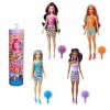 Barbie Coffret Assortiment Poupées Color Reveal Série Groovy, Accessoires Avec 6 Surprises Inclus, À Collectionner, Jouet Enf