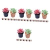 ABOOFAN 60 Pièces Modèles De Pots De Fleurs Figurines Échelle Miniature Faux Ornements Petit Bonsaï Jardin en Pot Mini Plante