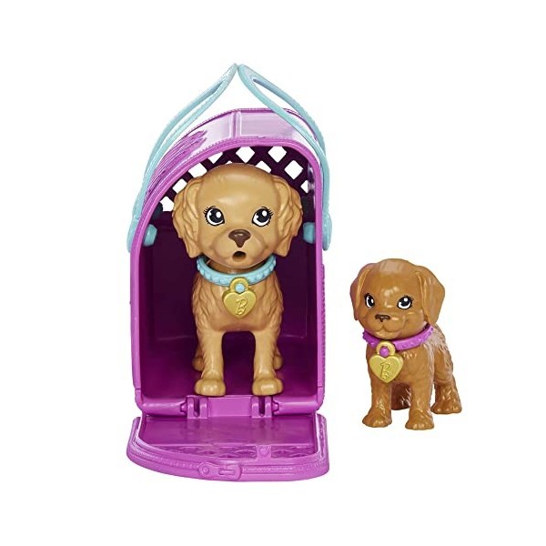 Barbie Coffret Nouvelle adoption avec poupée brune, 2 chiots, tapis de propreté et plus de 10 accessoires avec changement de 